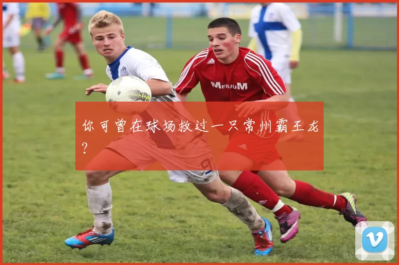 你可曾在球场救过一只常州霸王龙?