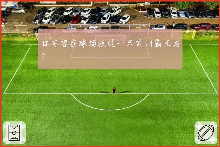 你可曾在球场救过一只常州霸王龙?