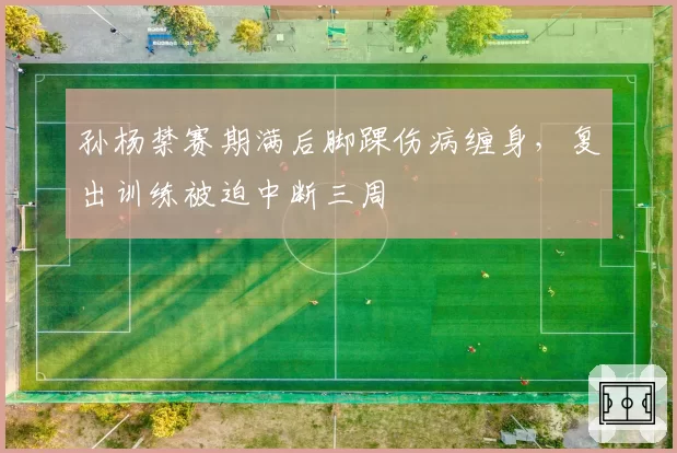 孙杨禁赛期满后脚踝伤病缠身,复出训练被迫中断三周