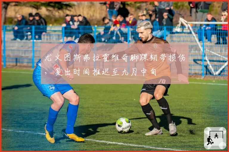 尤文图斯弗拉霍维奇脚踝韧带损伤，复出时间推迟至九月中旬