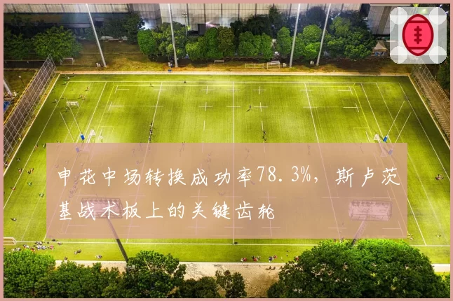 申花中场转换成功率78.3%，斯卢茨基战术板上的关键齿轮